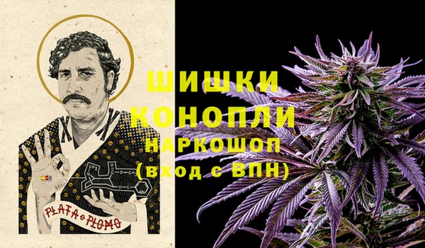 Альфа ПВП Белокуриха