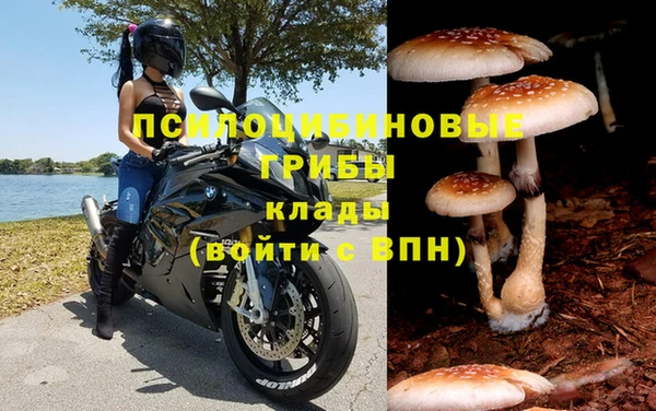СК Беломорск
