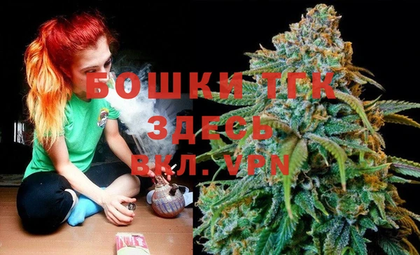 Альфа ПВП Белокуриха