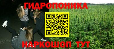 apvp Гусь-Хрустальный
