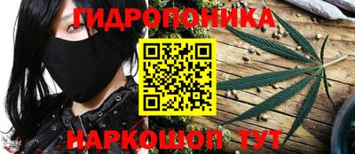 apvp Гусь-Хрустальный
