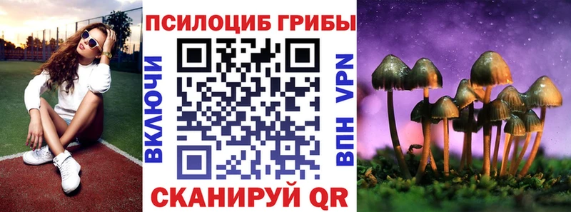 Галлюциногенные грибы Magic Shrooms продажа наркотиков ОМГ ОМГ как войти Малоярославец