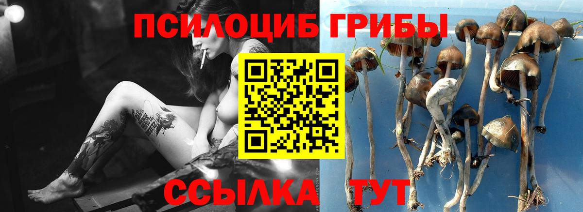 Галлюциногенные грибы Cubensis  Вход с VPN  Псилоцибиновые грибы Psilocybe  Малоярославец 